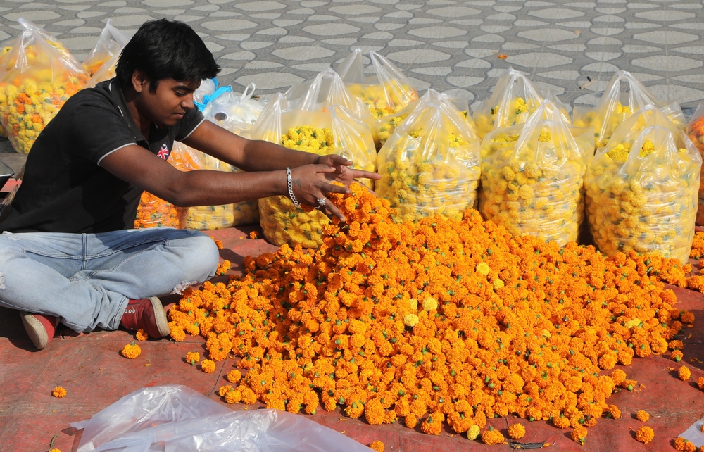 Diwali festival shopping in Jammu  / JAIPAL SINGH