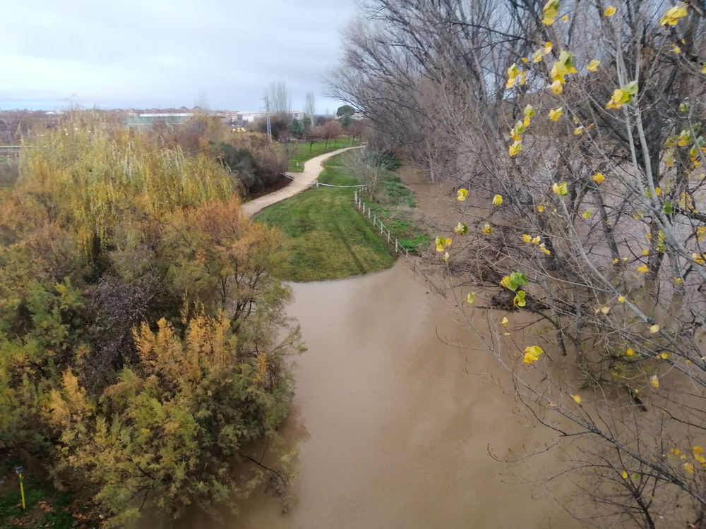 El tramo del paseo entre Riojaforum y la depuradora, inundado por el río.  / EL DÍA