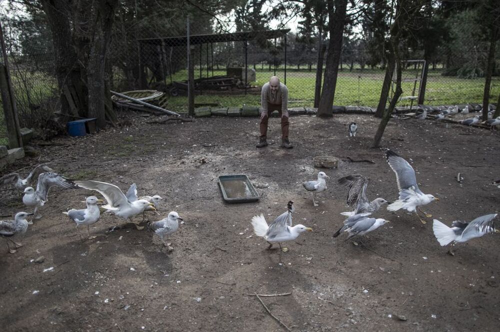 Turkish entrepeneur lives with dozens of animals  / ERDEM SAHIN