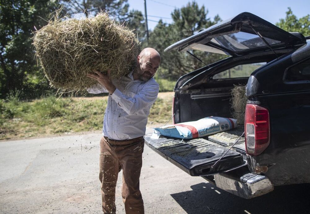 Turkish entrepeneur lives with dozens of animals  / ERDEM SAHIN