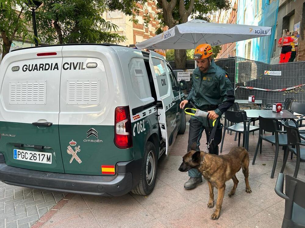 Perro desplazado por la Guardia Civil al edificio para localizar al trabajador atrapado por los escombros.