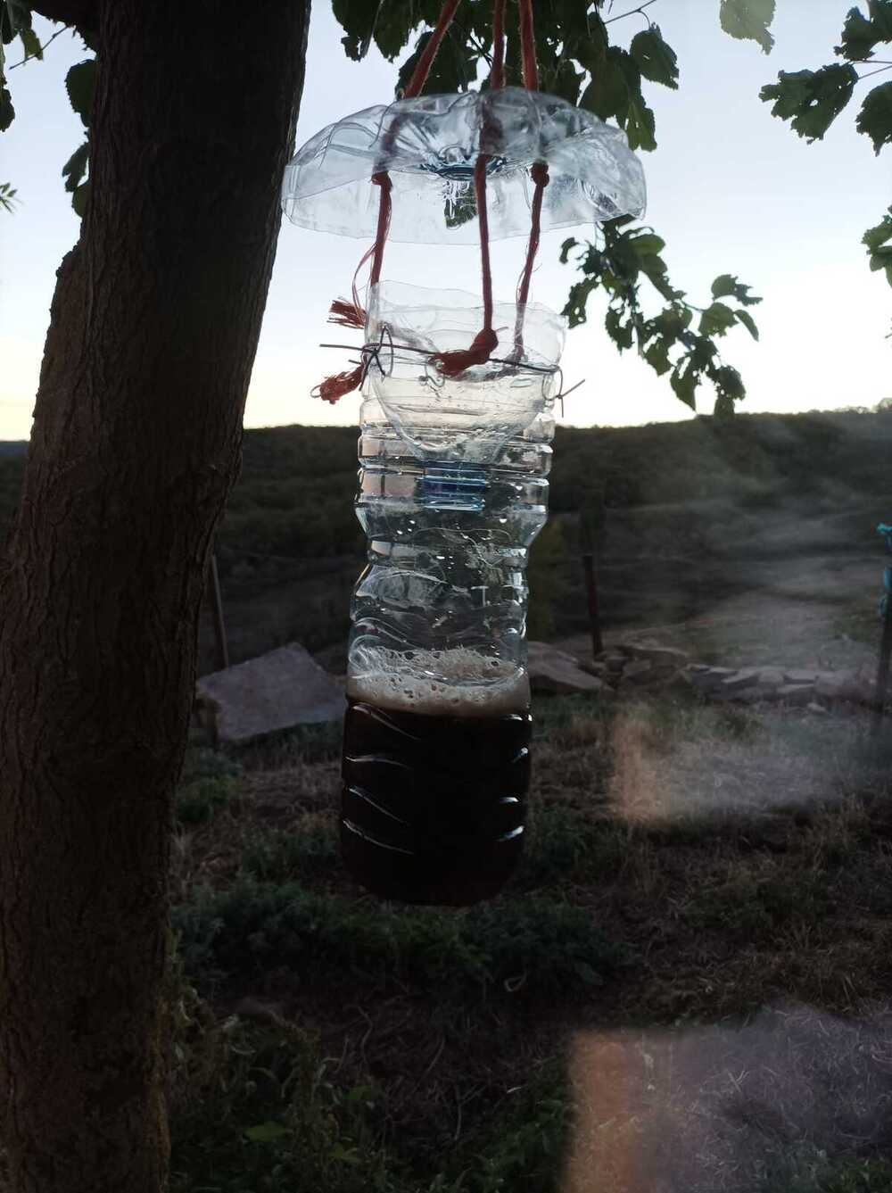 El apicultor Roberto Calvo cuidando de sus abejas en sus terrenos ubicados en Santa Marina