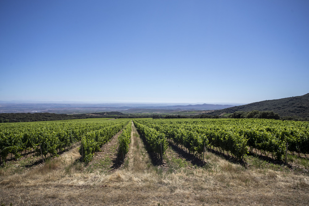 Rioja conquista cotas insospechadas