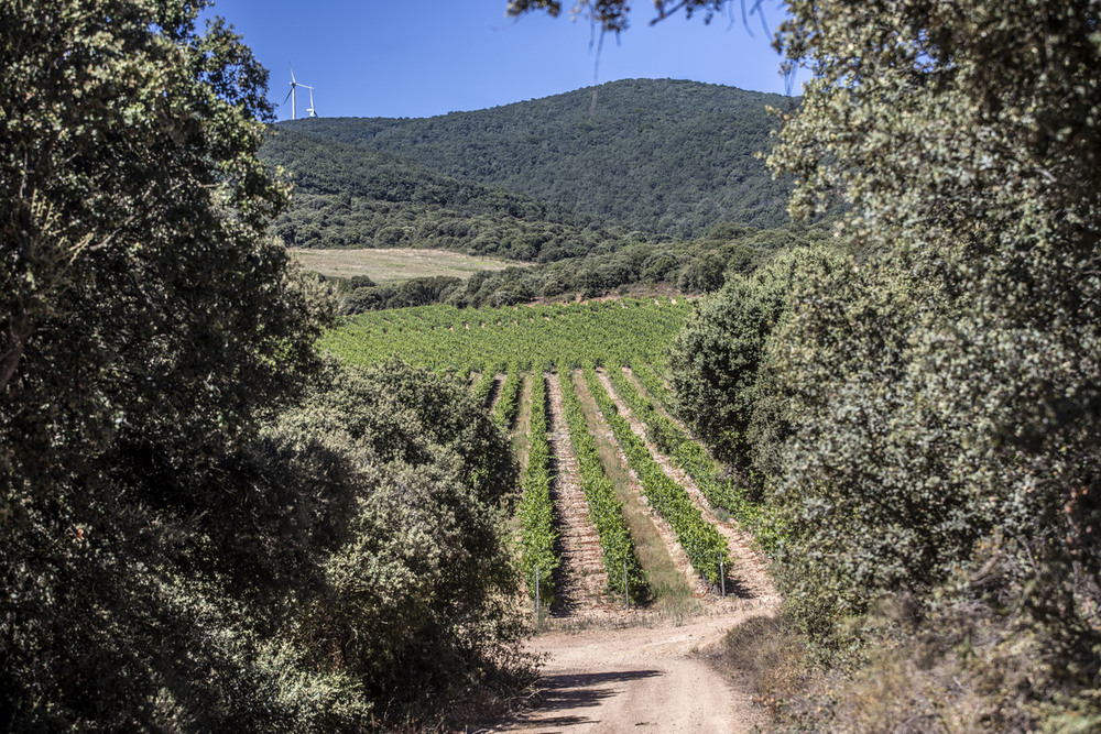 Rioja conquista cotas insospechadas