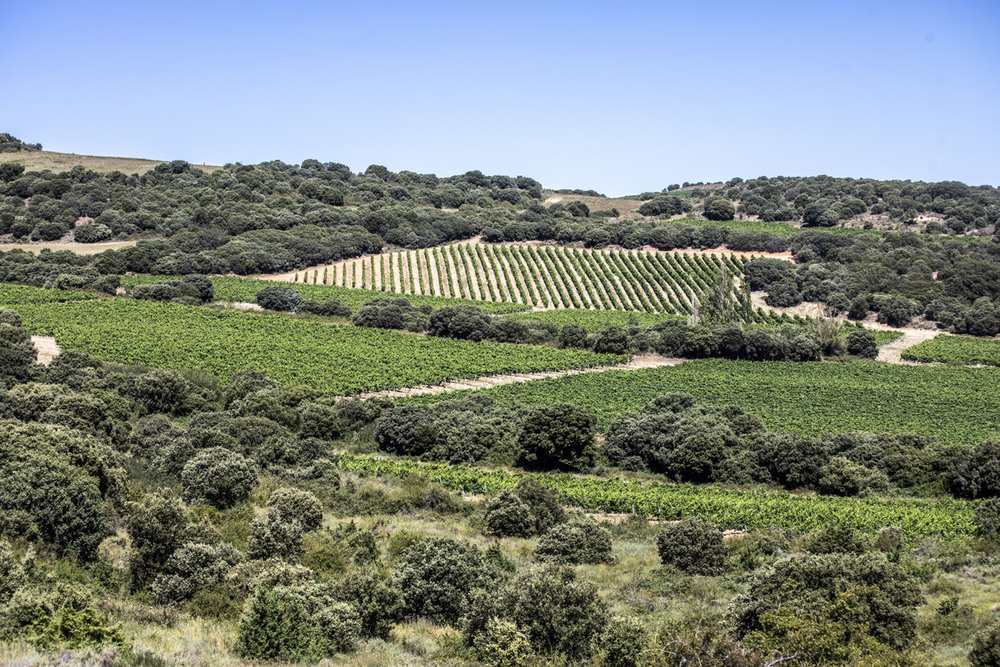 Rioja conquista cotas insospechadas