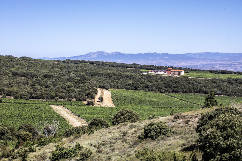 Rioja conquista cotas insospechadas