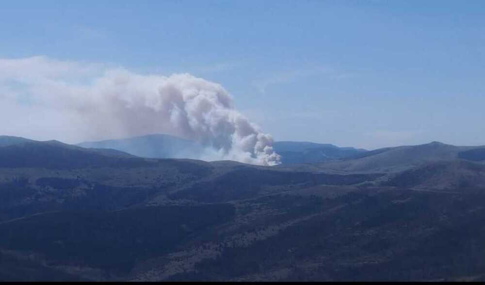 El incendio en Viniegra se ha declarado a primera hora de esta tarde