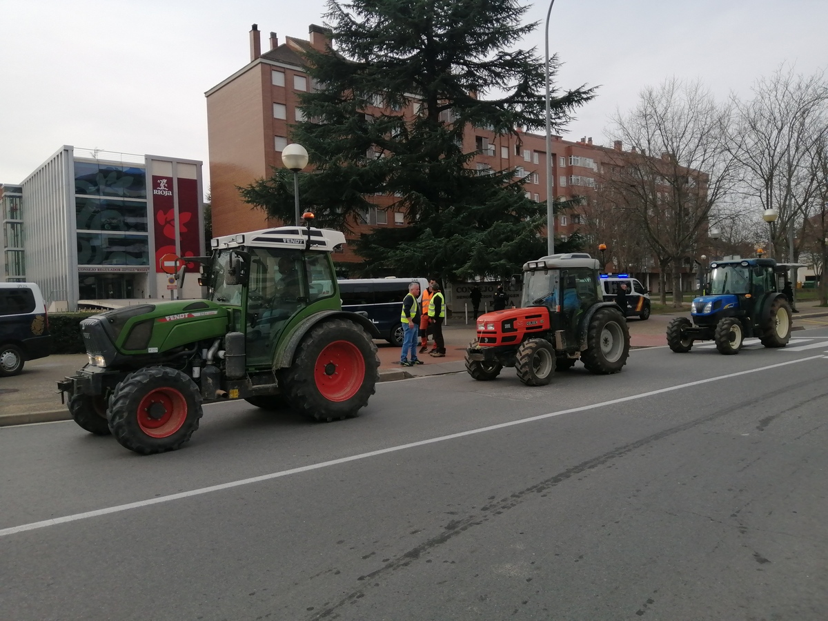 La tractorada ha colapsado el tráfico frente al Consejo Regulador.  / EL DÍA