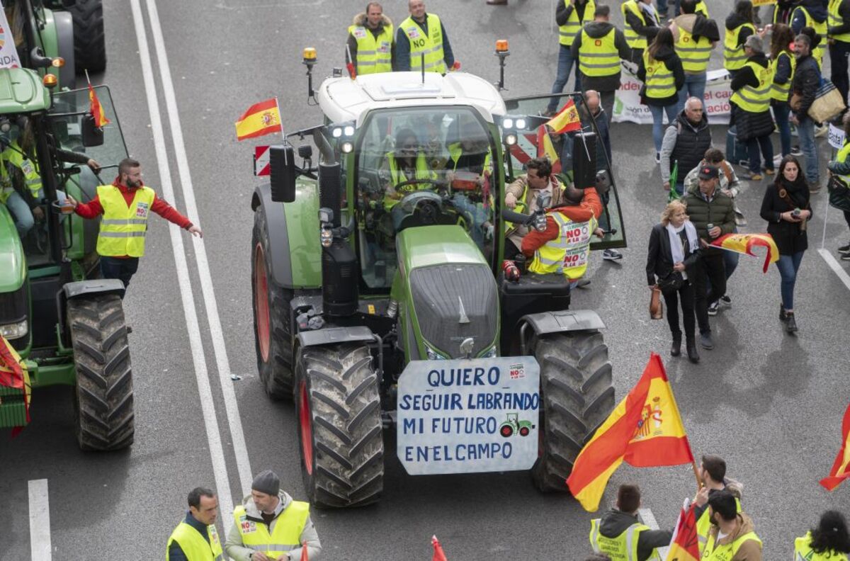 Los agricultores vuelven a Madrid para exigir mejoras en el campo   / ALBERTO ORTEGA