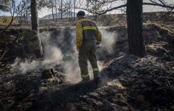 Un incendio forestal arrasa unas cuatro hectáreas en Autol