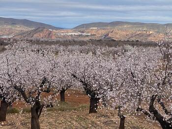 La Rioja afronta una primavera cálida y con menos lluvia