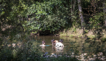 Los termómetros podrían alcanzar 43 grados el fin de semana