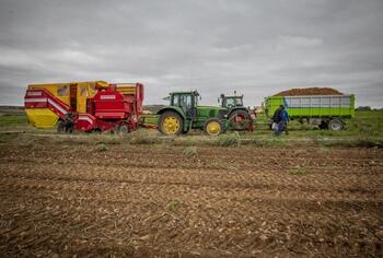 El cultivo de patata sigue a la baja aunque recupera precios