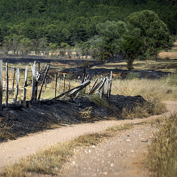 Alfaro intervendrá de urgencia en caminos del monte Yerga