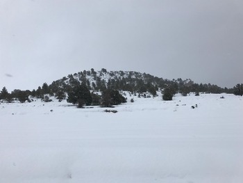 Aviso amarillo por nieve en la Ibérica riojana