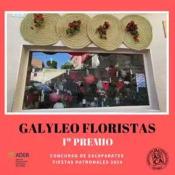 Galyleo Floristas y Ars Manual, mejores escaparates patronales