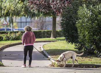 Los riojanos tienen el doble de perros que de niños de 0 a 10