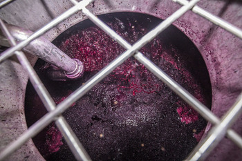 Rioja obliga a destilar el excedente para vino de mesa
