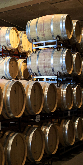La cosecha del vino de Rioja de 2023 calificada de 'Muy Buena'