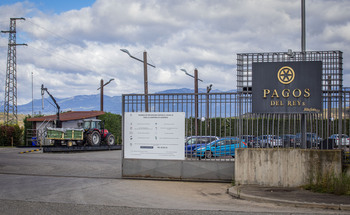 Viticultores rechazados por sus bodegas acuden a Pagos del Rey